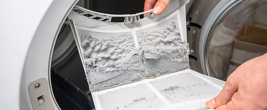 Best Dryer Lint Removal Company in Lisle, Illinois