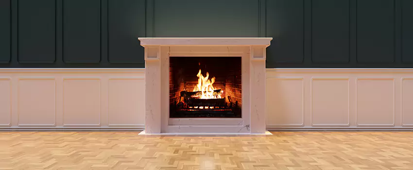 Napoleon Electric Fireplaces Inspection Service in Lisle, Illinois