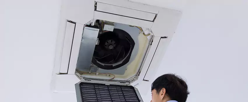 Benefits of Professional Air Duct Cleaning in Lisle, Illinois