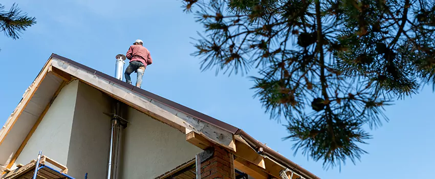 Birds Removal Contractors from Chimney in Lisle, IL